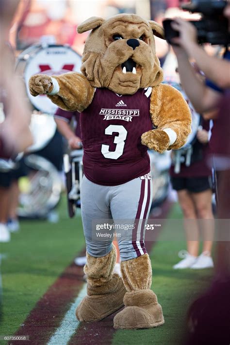 Bulldog mascot representing Mississippi State